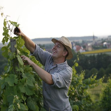 Worners Schloss Weingut & Wellness-Hotel Prichsenstadt Esterno foto